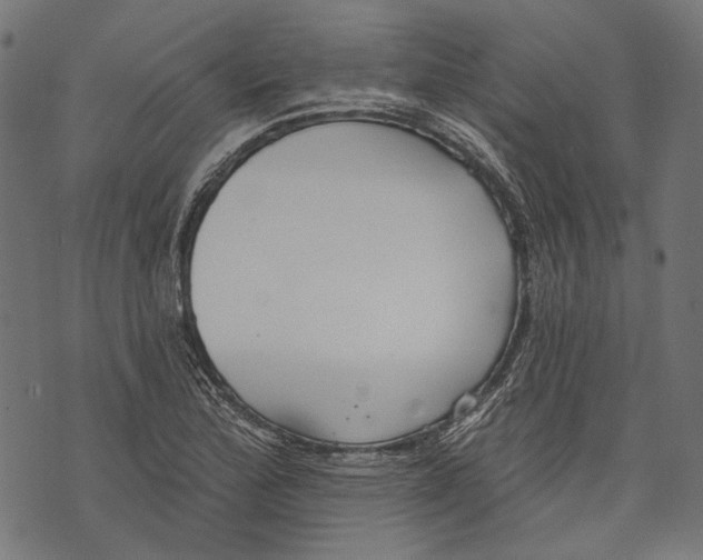 X0000073951172200609181354