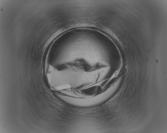 X0000073951173200609181354