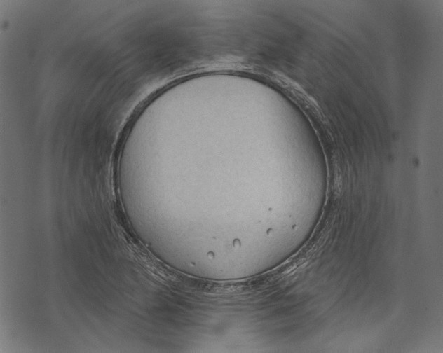 X0000073951174200609181354