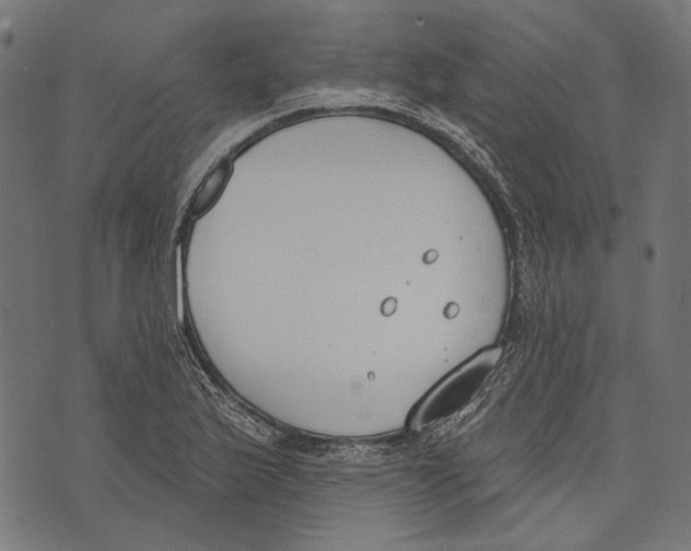 X0000073951175200609181353