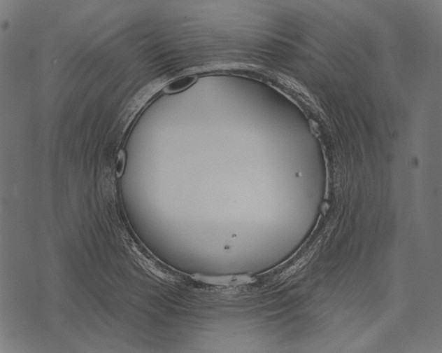 X0000073951177200609181353