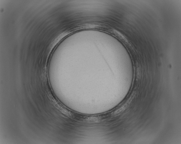 X0000073951178200609181353