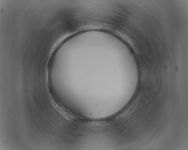 X0000073951179200609181353