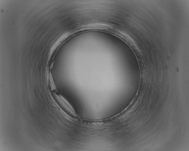 X0000073951180200609181353