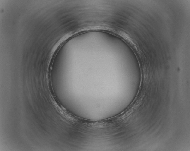 X0000073951181200609181353