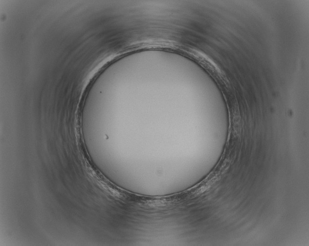 X0000073951182200609181353