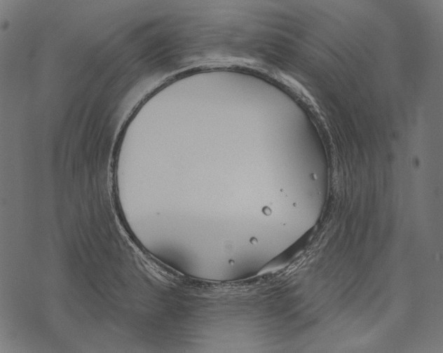 X0000073951183200609181353