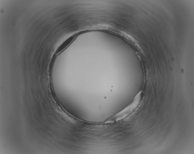 X0000073951184200609181353