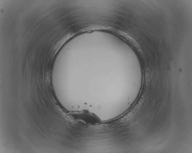 X0000073951185200609181353