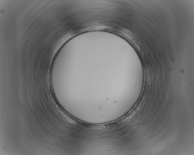 X0000073951186200609181353