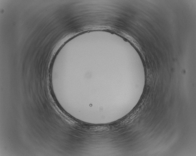 X0000073951187200609181353