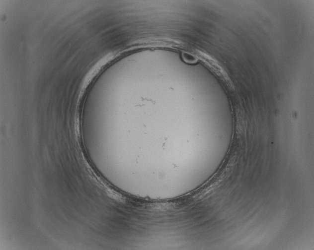 X0000073951188200609181353