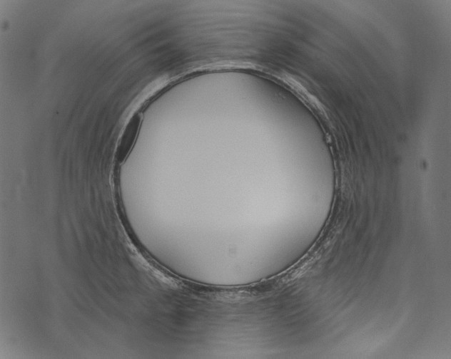 X0000073951189200609181353