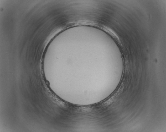 X0000073951190200609181353