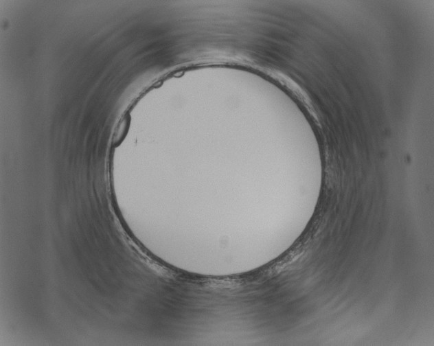 X0000073951191200609181353