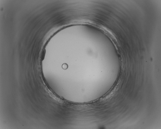 X0000073951192200609181353