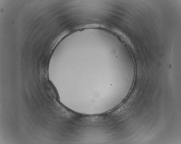 X0000073951193200609181353