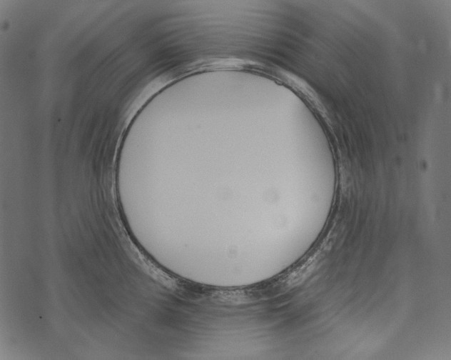 X0000073951194200609181353