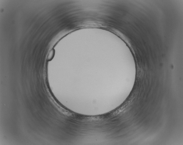 X0000073951195200609181353