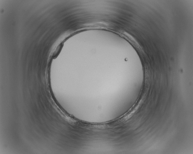 X0000073951196200609181353