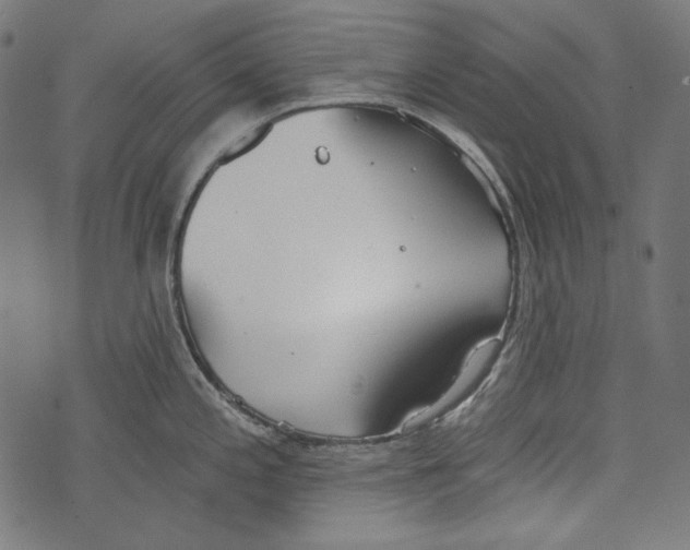 X0000073951197200609181353