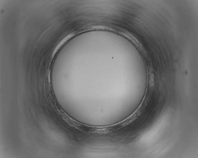 X0000073951198200609181353