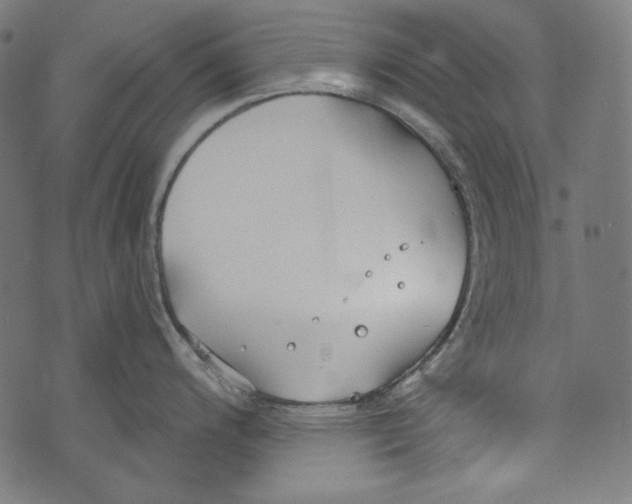 X0000073951200200609181353