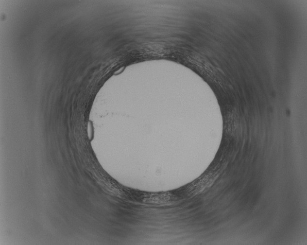 X0000073951201200609181352