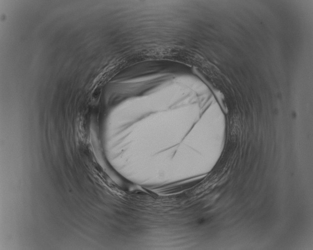 X0000073951202200609181352