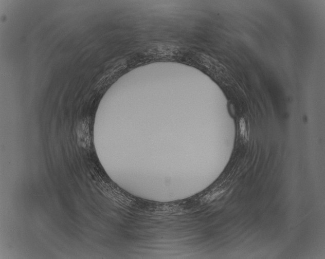 X0000073951203200609181352