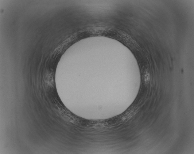 X0000073951204200609181352