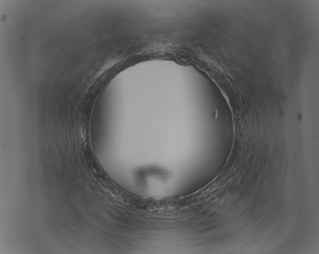 X0000073951206200609181352