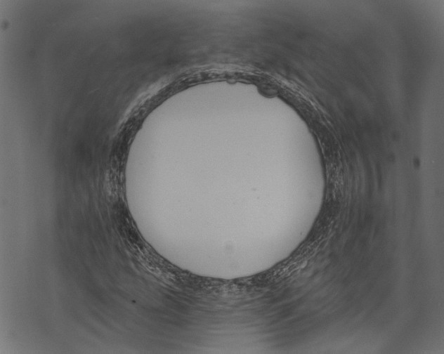 X0000073951207200609181352