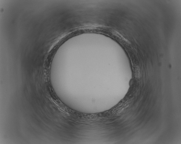 X0000073951208200609181352