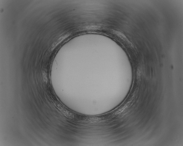 X0000073951209200609181352