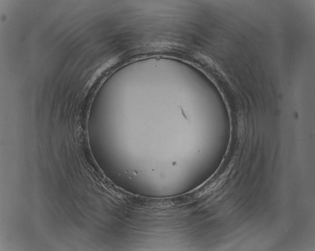 X0000073951210200609181352