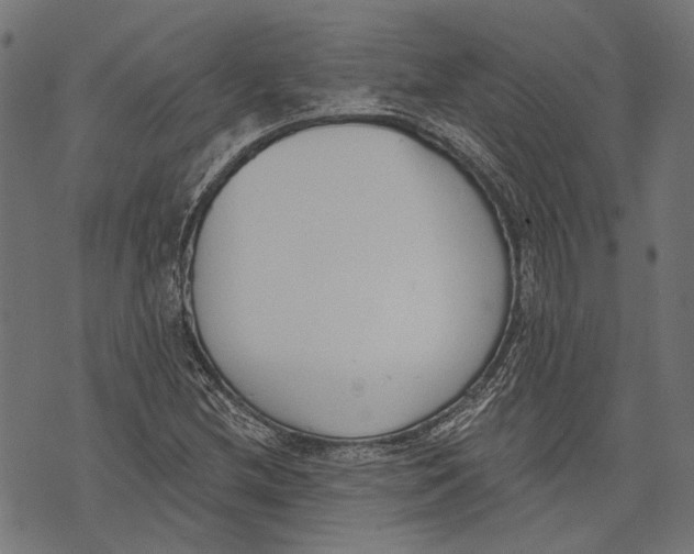 X0000073951212200609181352