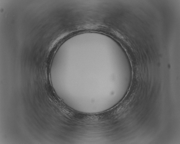 X0000073951214200609181353