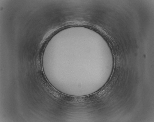 X0000073951215200609181353