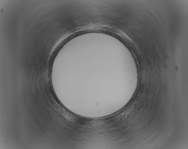 X0000073951216200609181353