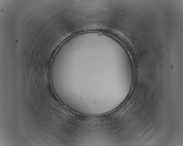 X0000073951217200609181353