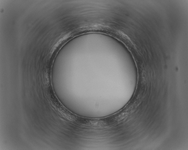 X0000073951218200609181353