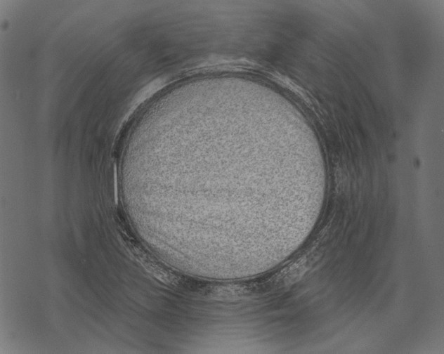 X0000073951219200609181353