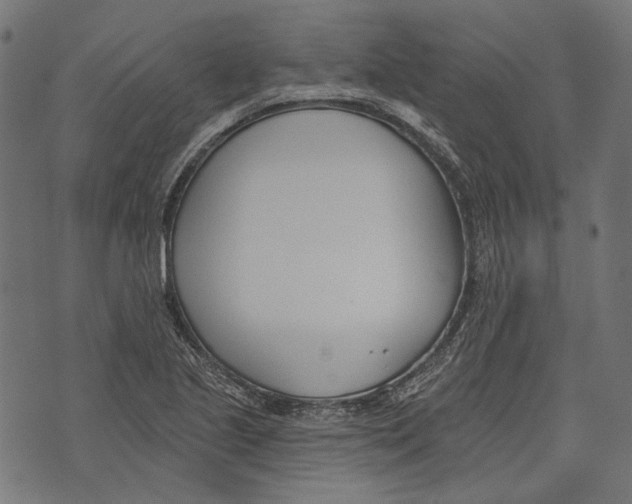 X0000073951221200609181353