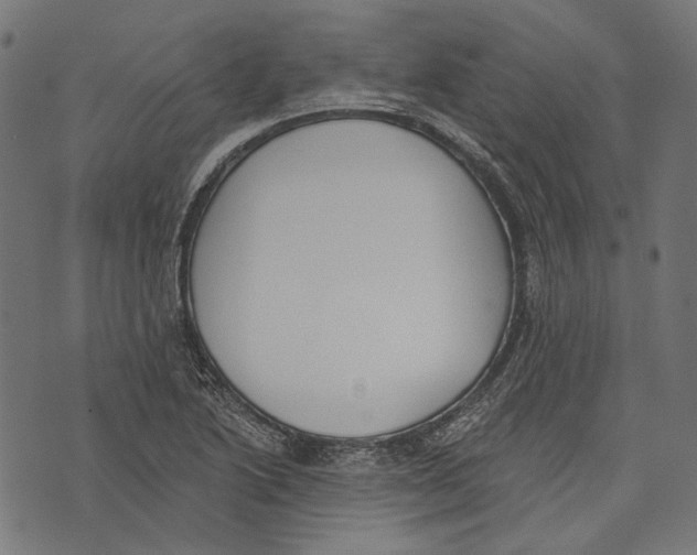 X0000073951222200609181353