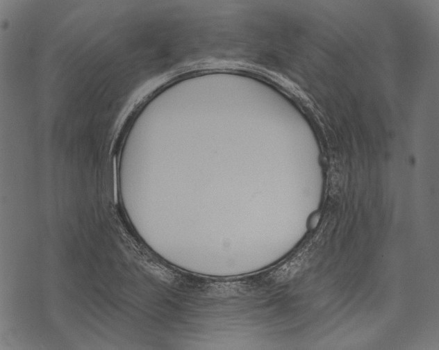 X0000073951223200609181353