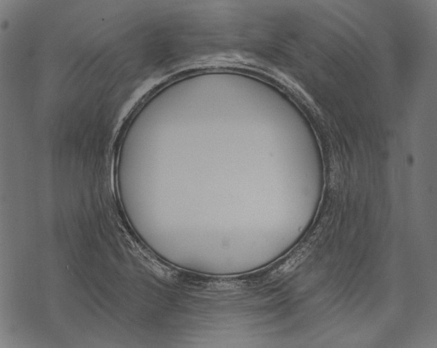 X0000073951224200609181353