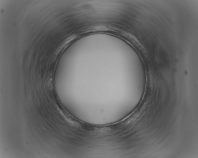 X0000073951225200609181353