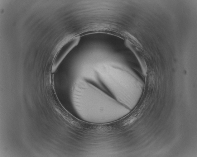 X0000073951226200609181353