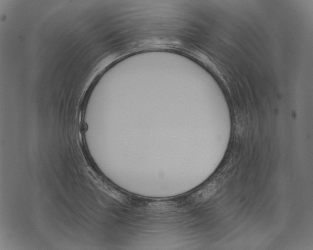 X0000073951227200609181353